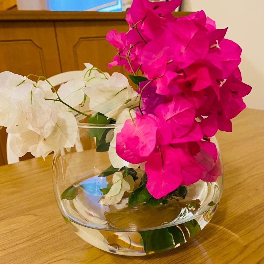 Ouranias Guesthouse Chania  ภายนอก รูปภาพ
